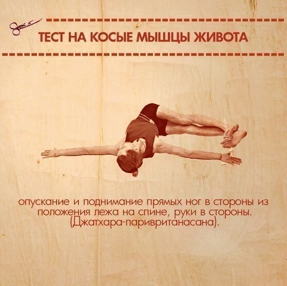 ТЕСТЫ НА ФУНКЦИОНАЛЬНУЮ СЛАБОСТЬ МЫШЦ. Тело нетренированного (а часто и тренированного) человека ... - 3