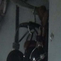 ������, �������, 48 ���