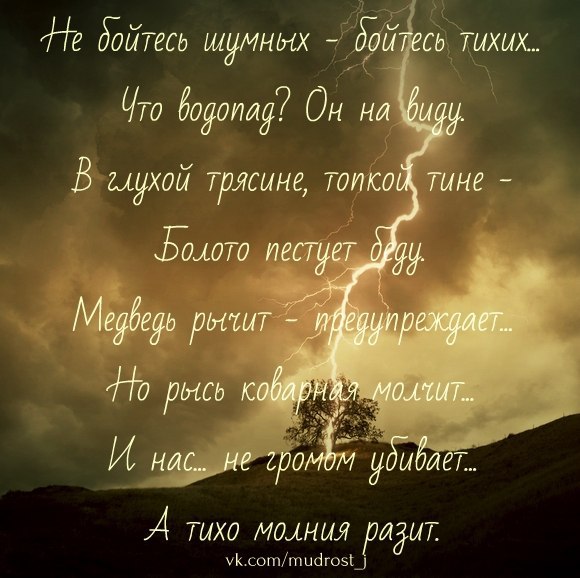  - 31  2015  14:48