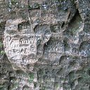 ���� ����, ������� ��������, 55 ��� - ��������� 8 �������� 2015 � ������ ���� ����������