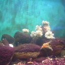 ���� ���������, �����, 27 ��� - ��������� 14 ���� 2015 � ������ ���� ����������