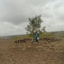  , , 64  -  13  2015    2015