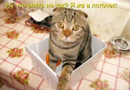   https://fotostrana.ru/away?to=/sl/NAD2