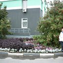 ���� Svetlana, ������ - ��������� 17 �������� 2015 � ������ ���� ����������