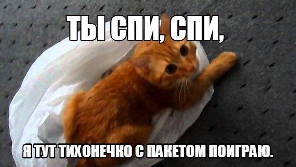       - 8  2015  02:03