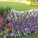  , -, 22  -  12  2015    