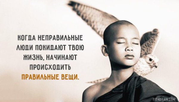 ���� - 2 ���� 2015 � 17:33