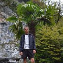 ���� ������, ����, 43 ���� - ��������� 30 ������� 2015 � ������ ���� ����������