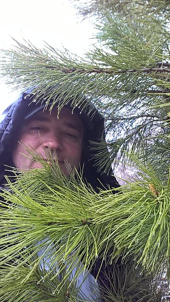 : SERGIO, 52 ,      