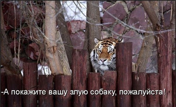       - 15  2015  23:59