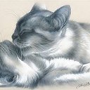  ~Isidora~,  -  2  2015    