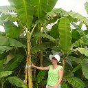 ���� ����, ����������, 47 ��� - ��������� 2 �������� 2015 � ������ ���� ����������