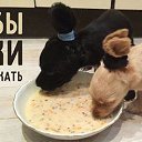 ���� ����, �����, 49 ��� - ��������� 14 ���� 2015 � ������ ������ ��������