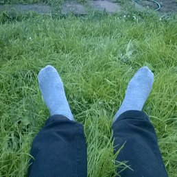 ����, �������, 37 ���