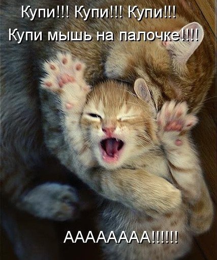 ,     ...