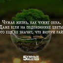 ���� �����, ������, 59 ��� - ��������� 28 ������ 2015 � ������ ������ ��������