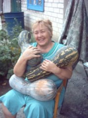 :  , 57 ,      