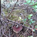 ���� ������, �����-���������, 70 ��� - ��������� 9 ������� 2015 � ������ ������ 2015�