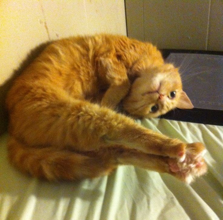  :3