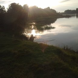 ���� �����, ����������, 44 ���� - ��������� 21 ���� 2015