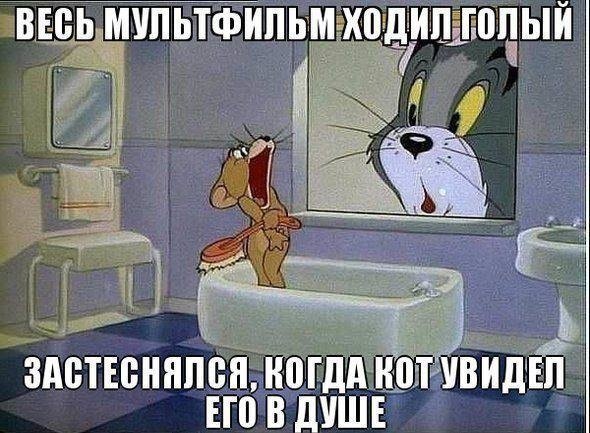       - 23  2015  19:38