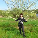 ������� ����� �� ������� ���� ����������