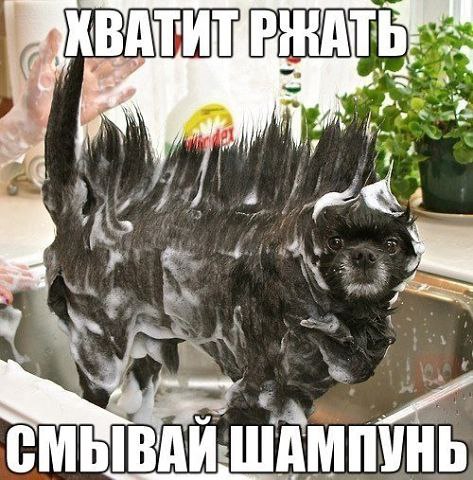 )))