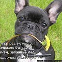  , --, 52  -  21  2015    .