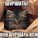 ���� �����, �����, 48 ��� - ��������� 26 ���� 2015 � ������ �12 -�
