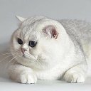  Elena....,  -  23  2015    