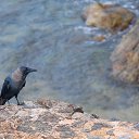 ���� �����, ������, 55 ��� - ��������� 29 ���� 2015 � ������ ���� �����