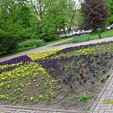 ���� Sergei, �����������, 67 ��� - ��������� 27 ������ 2015 � ������ ������������