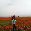  , , 46  -  11  2015   ,  !