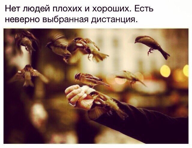   - 14  2015  19:40