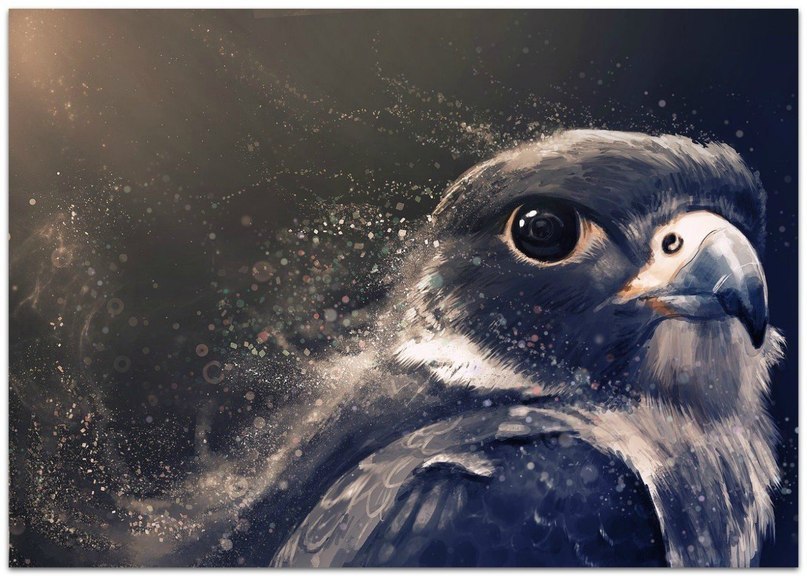  ,       .     .  ...