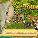 ����� �� ������� ������������ ����-�����