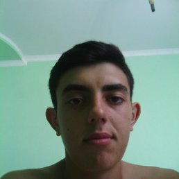  Cristi, , 28  -  27  2015