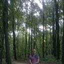 ���� ����, ������, 42 ���� - ��������� 13 ������� 2015 � ������ ���� ����������