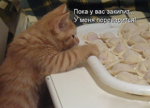       - 11  2015  10:07