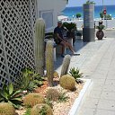 ���� ��������, �����������, 62 ���� - ��������� 23 �������� 2015 � ������ ���� ����������