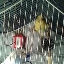 ���� ���, ����� - ��������� 20 ���� 2015 � ������ ���� ����� � �����������!�