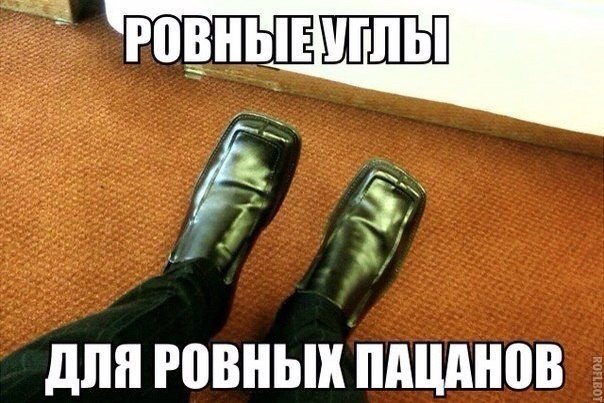     - 6  2015  09:41