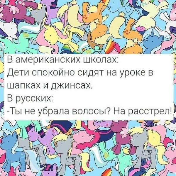   - 24  2015  00:33