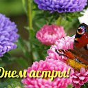 ���� ����, ������ ��������, 38 ��� - ��������� 6 �������� 2015