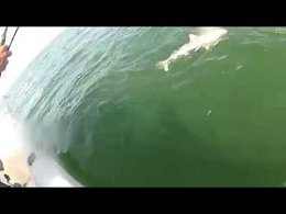 ���������� ������� ����� ��������� ����� �������