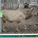 ���� �������, ���������� - ��������� 17 ���� 2015 � ������ ���� ������