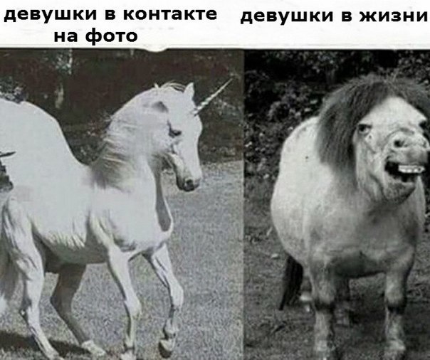   ! - 17  2015  09:01