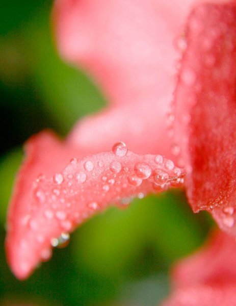   -   ,      !  ,    , ... - 4