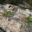 ���� ������, ����-�����������, 57 ��� - ��������� 19 �������� 2015 � ������ ������� 15�.�