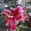 ��� ����.... �� ������� ���� ����������